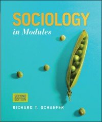 Imagen de archivo de Sociology in Modules 2nd Second Edition a la venta por Better World Books