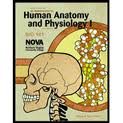 9780078041945: Study Guide for "An Introduction to Human Anatomy and Physiology I" BIO 141