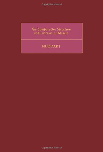 Stock image for The comparative structure and function of muscle (International series of monographs in pure and applied biology. Zoology Division) for sale by Mispah books