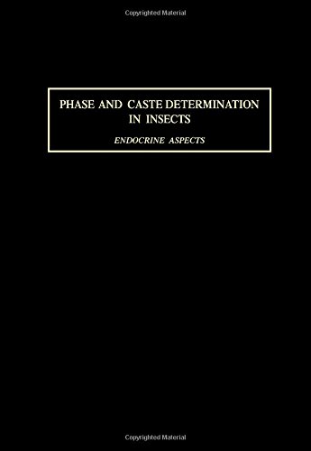 9780080212562: Phase and caste determination in insects: Endocrine aspects : papers presented at a symposium of the section physiology and biochemistry of the XV ... D.C., 1976 (chairman, Dorothy Feir)