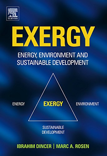 Stock image for Exergy : Energy, Environment and Sustainable Development for sale by Better World Books Ltd