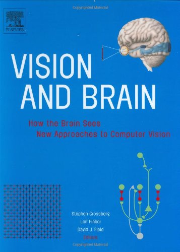 Stock image for Vision and Brain: How the brain sees / New approaches to computer vision for sale by dsmbooks