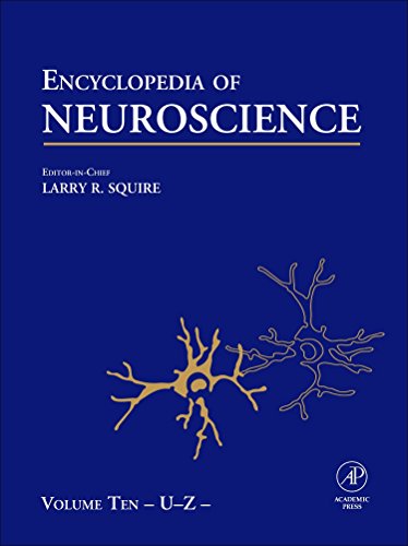 Stock image for Encyclopedia Of Neuroscience, 10 Vol. Set for sale by Basi6 International