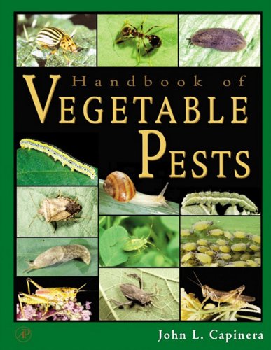 9780080533261: Handbook of Vegetable Pests