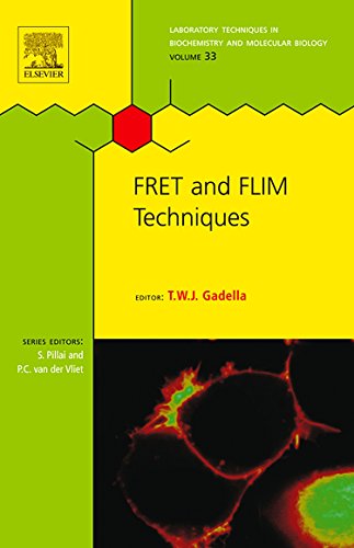 9780080549583: FRET and FLIM Techniques (Laboratory Techniques in Biochemistry and Molecular Biology): Volume 33