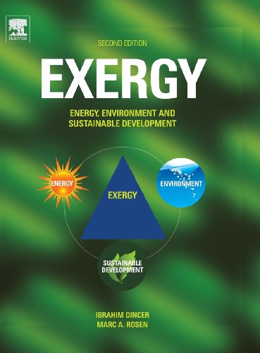 Stock image for Exergy: Energy, Environment and Sustainable Development for sale by Books Unplugged