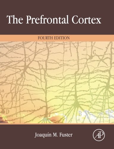 Imagen de archivo de The Prefrontal Cortex: Fourth Edition a la venta por Revaluation Books