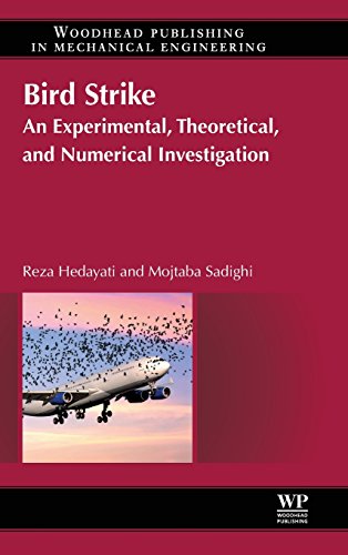 9780081000939: Bird Strike: An Experimental, Theoretical and Numerical Investigation