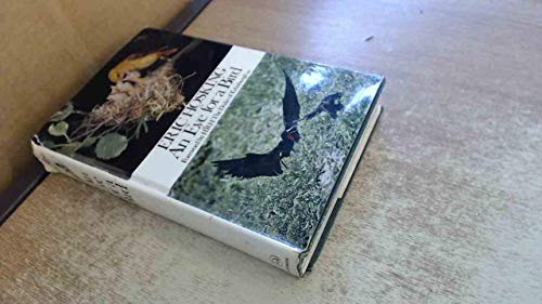 9780091044602: An Eye for a Bird: The Autobiography of a Bird Photographer