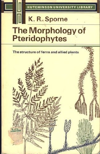 Imagen de archivo de Morphology of Pteridophytes (University Library) a la venta por WorldofBooks