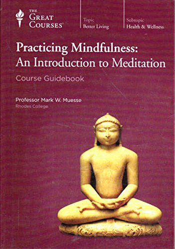 9780091064709: Practical Buddhism by Lu, Kuanyu