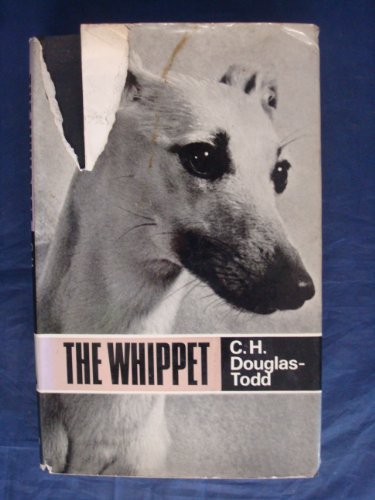 9780091148300: The whippet (Popular Dogs' breed series)