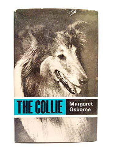 9780091159900: Collie, The by Osborne, Margaret