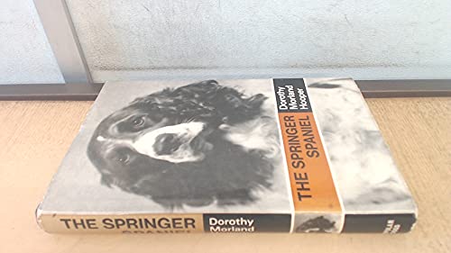 9780091233006: Springer Spaniel