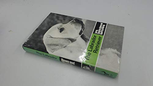 Imagen de archivo de The Labrador Retriever a la venta por WorldofBooks