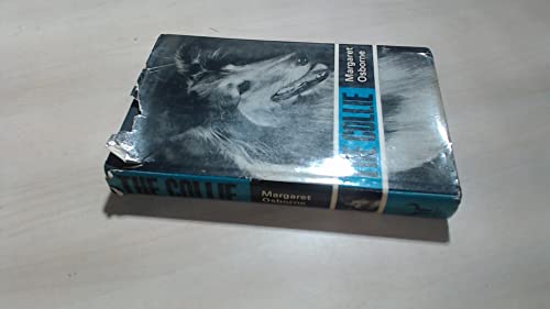 Beispielbild fr The Collie zum Verkauf von WorldofBooks