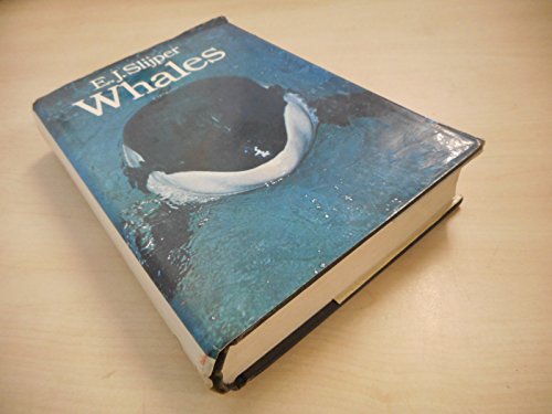Beispielbild fr Whales zum Verkauf von Anybook.com