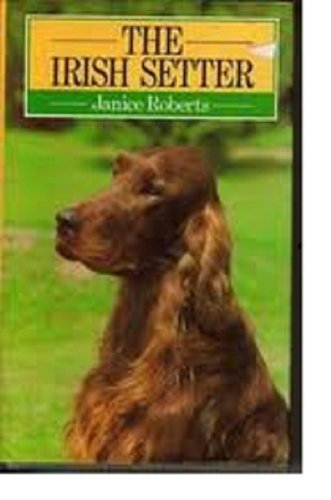 Beispielbild fr The Irish Setter (Popular Dogs S.) zum Verkauf von WorldofBooks