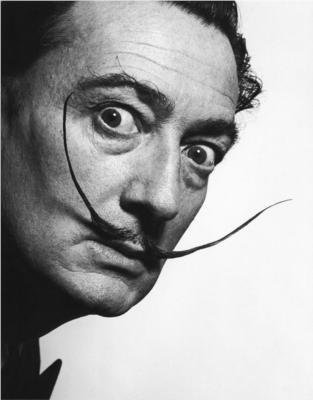 9780091746575: SALVADOR DALI: DIARY OF A