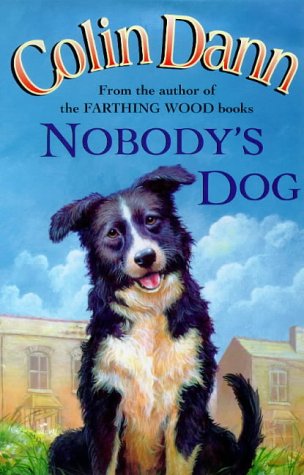 9780091769000: Nobodys Dog