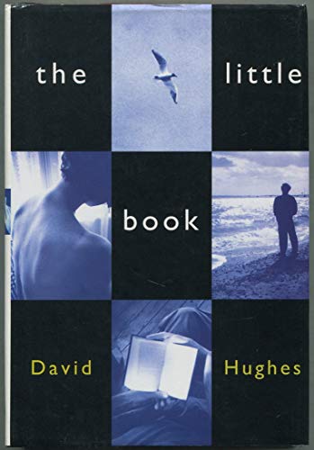 9780091791940: The Little Book