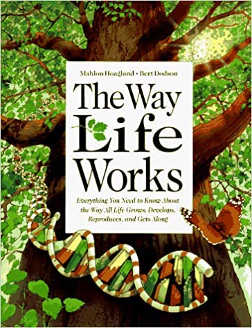 Beispielbild fr The Way Life Works zum Verkauf von AwesomeBooks