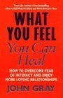 9780091884499: What You Feel You Can Heal
