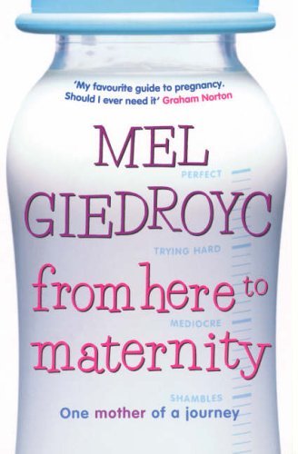 Beispielbild fr From Here to Maternity: One Mother of a Journey zum Verkauf von AwesomeBooks