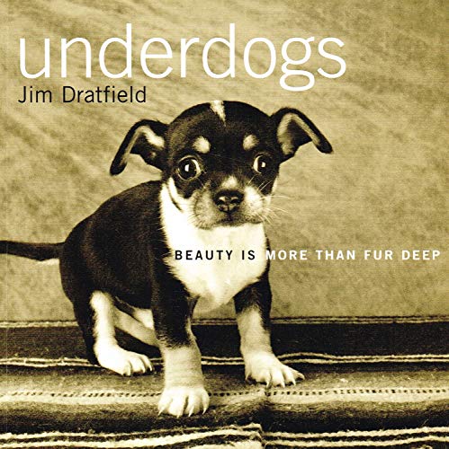 9780091889265: Underdogs: Beauty is more than fur deep