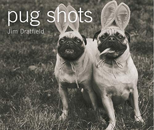 9780091900854: Pug Shots