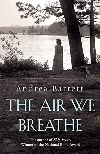 The Air We Breathe (9780091920944) by Andrea Barrett