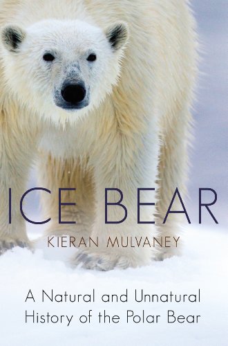 Beispielbild fr Ice Bear: A Natural and Unnatural History of the Polar Bear zum Verkauf von Wonder Book