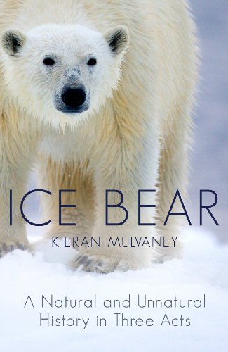 9780091926113: Ice Bear: A Natural and Unnatural History of the Polar Bear