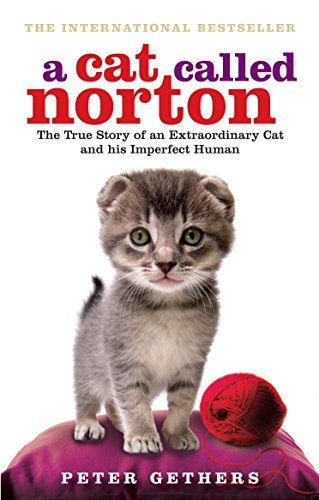 Beispielbild fr A Cat Called Norton: The True Story of an Extraordinary Cat and His Imperfect Human zum Verkauf von SecondSale