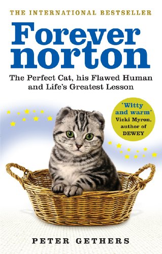 Imagen de archivo de Forever Norton: The Perfect Cat, his Flawed Human and Life's Greatest Lesson a la venta por WorldofBooks