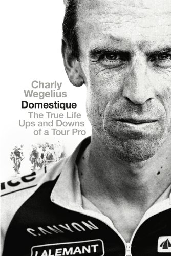 Stock image for Domestique: The True life Ups and Downs of a Tour Pro for sale by Harry Righton