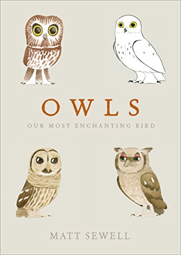 Stock image for Owls: Our Most Enchanting Bird for sale by SecondSale