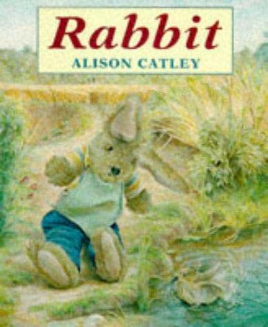 Stock image for Rabbit (Red Fox picture books) for sale by WorldofBooks