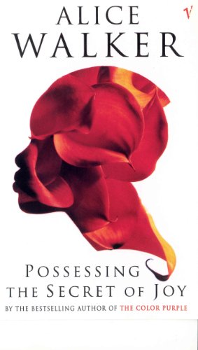 9780099224112: Possessing The Secret Of Joy