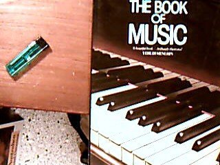 Beispielbild fr The Book of Music zum Verkauf von Better World Books