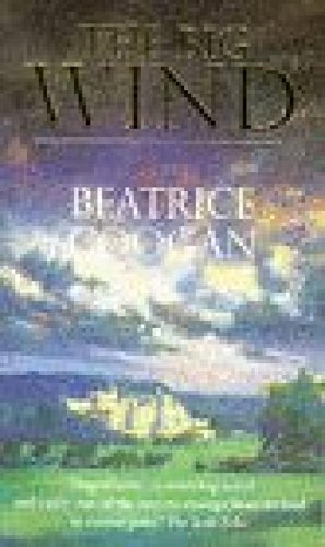 9780099246428: The Big Wind: A Novel of Ireland