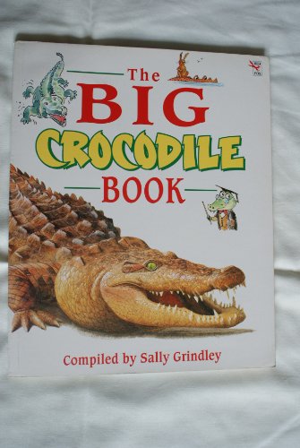 9780099255017: The Big Crocodile Book (Red Fox story books)