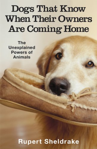 9780099255871: Dogs That Know When Their Owners Are Coming Home