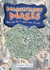 Stock image for Magnificent Mazes : Once You Get in, You'll Never Get Out! for sale by J J Basset Books, bassettbooks, bookfarm.co.uk