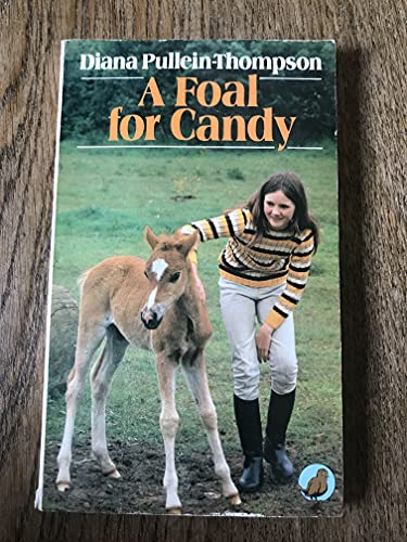 9780099272403: Foal for Candy