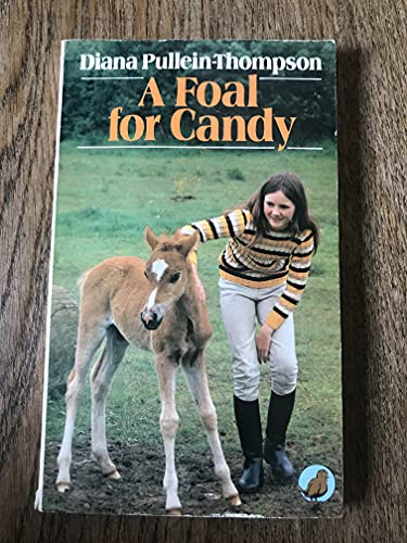 9780099272403: A Foal for Candy