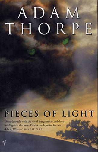 Imagen de archivo de Pieces Of Light a la venta por WorldofBooks