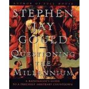 9780099283324: Questioning The Millennium