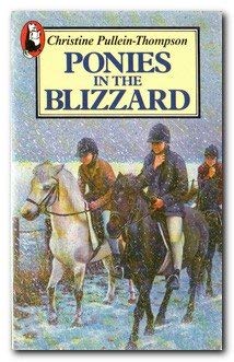 Stock image for Ponies in the Blizzard for sale by Greener Books