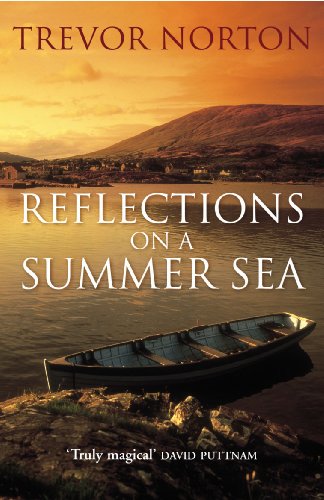 Stock image for Reflections On A Summer Sea for sale by AwesomeBooks